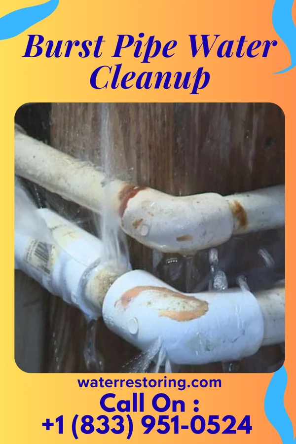 Burst Pipe Water Cleanup in Parnell, MO