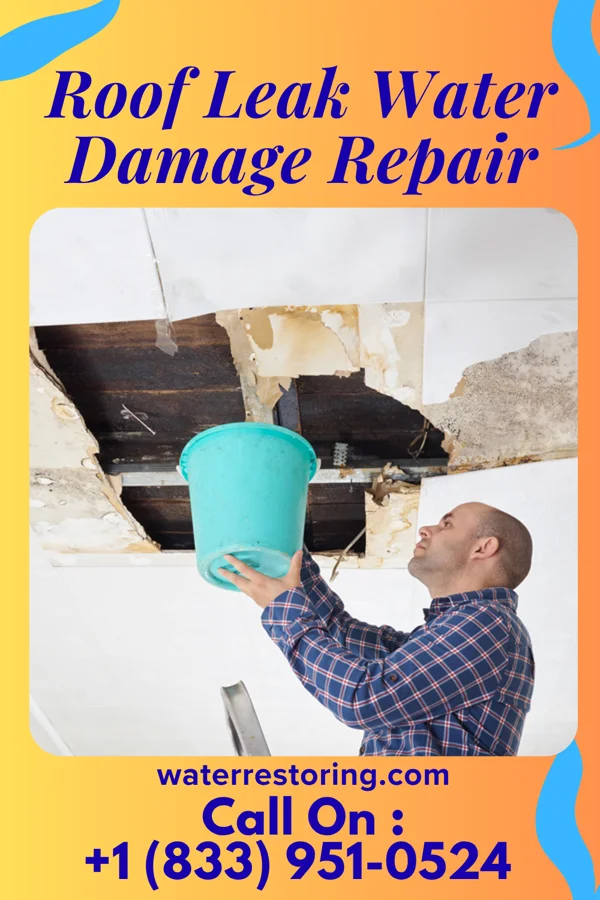 Roof Leak Water Damage Repair in Parnell, MO